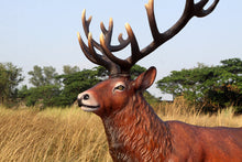 Load image into Gallery viewer, MAJESTIC RED DEER STAG JR 140044
