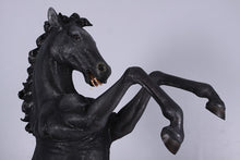 Load image into Gallery viewer, REARING STALLION JR 140059
