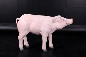 PIG JR 140083