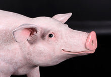 Load image into Gallery viewer, PIG JR 140083

