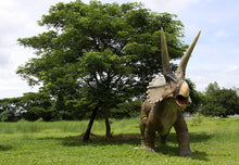 Load image into Gallery viewer, GIANT TRICERATOPS -JR 140098
