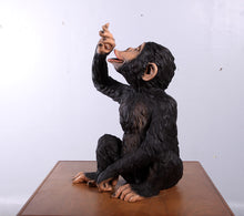 Load image into Gallery viewer, BOOZY CHIMP HOLDER JR 140099
