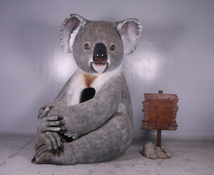 CUDDLE THE KOALA WITH SIGN BOARD - JR 150023