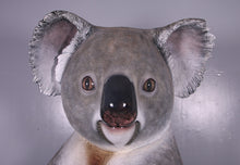 Load image into Gallery viewer, CUDDLE THE KOALA WITH SIGN BOARD - JR 150023

