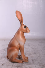 Load image into Gallery viewer, HARE JR 150086
