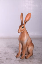 Load image into Gallery viewer, HARE JR 150086
