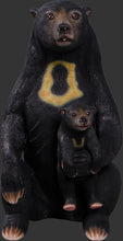 Load image into Gallery viewer, SUN BEAR - JR 150205
