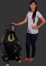 Load image into Gallery viewer, SUN BEAR - JR 150205
