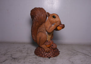 WIRRAL THE SQUIRREL JR 150347