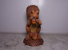 Load image into Gallery viewer, WIRRAL THE SQUIRREL JR 150347
