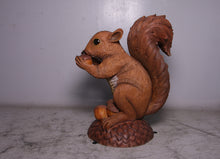 Load image into Gallery viewer, WIRRAL THE SQUIRREL JR 150347
