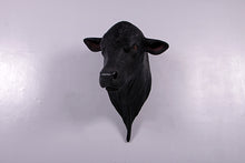 Load image into Gallery viewer, BULL HEAD - ANGUS SHOULDER MOUNT -JR 150382
