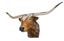 Load image into Gallery viewer, BULL HEAD -TEXAS LONG HORN - JR 160122
