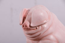 Load image into Gallery viewer, SITTING CHUBBY PIGLET 9&quot; JR 160258

