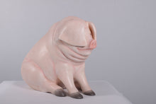 Load image into Gallery viewer, SITTING PIG JR 160259
