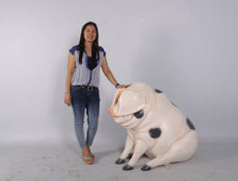Load image into Gallery viewer, SITTING PIG JR 160260
