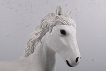 Load image into Gallery viewer, PONY WHITE JR 170161

