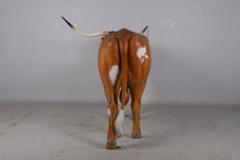 Load image into Gallery viewer, TEXAS LONGHORN BULL JR 170163
