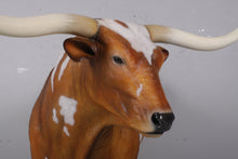 Load image into Gallery viewer, TEXAS LONGHORN BULL JR 170163

