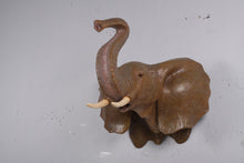 Load image into Gallery viewer, ELEPHANT HEAD - JR 170186
