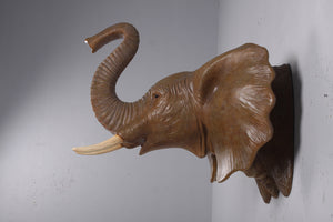 ELEPHANT HEAD - JR 170186
