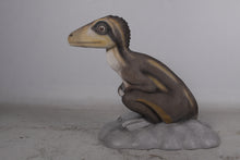 Load image into Gallery viewer, THEROPOD JUVENILE SITTING - JR 170204
