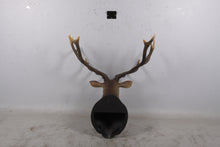 Load image into Gallery viewer, RED DEER STAG HEAD JR 170216
