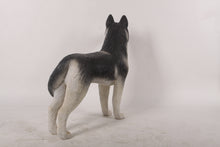Load image into Gallery viewer, HUSKY JR 180171
