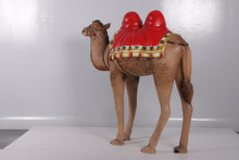 Load image into Gallery viewer, CAMEL JR 180183
