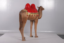 Load image into Gallery viewer, CAMEL JR 180183
