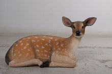 Load image into Gallery viewer, FALLOW DEER FAWN LYING DOWN - JR 190001

