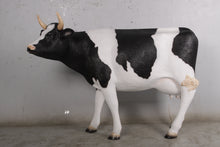 Load image into Gallery viewer, COW - 3/4 FRESIAN - JR 190047

