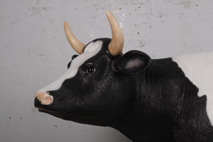 COW - 3/4 FRESIAN - JR 190047