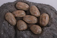 Load image into Gallery viewer, NEST OF DINOSAUR EGGS -JR 190150
