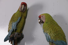 Load image into Gallery viewer, BUFFONS MACAW SET OF 2 - JR 190152
