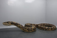 Load image into Gallery viewer, GIANT 15M LONG CARPET PYTHON - JR 180157
