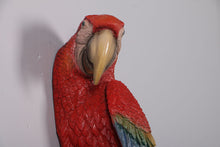 Load image into Gallery viewer, Scarlet Macaw-JR 190159
