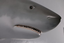 Load image into Gallery viewer, GREAT WHITE SHARK HEAD 20&quot; - JR 190168
