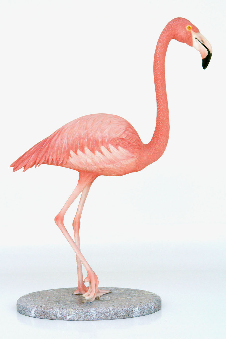 Flamingo (JR 2610)
