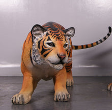 Load image into Gallery viewer, BENGAL TIGER JR 080120
