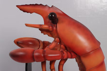 Load image into Gallery viewer, LOBSTER WITH MENUBOAD 3FT JR 200070
