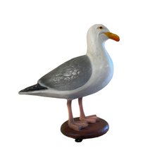 Load image into Gallery viewer, SEAGULL ON BASE JR 210085
