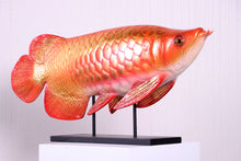 Load image into Gallery viewer, AROWANA FISH JR 220104
