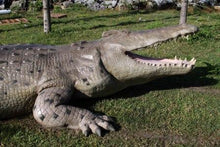Load image into Gallery viewer, CROCODILE 28FT - JR 100097
