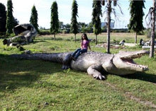 Load image into Gallery viewer, CROCODILE 28FT - JR 100097
