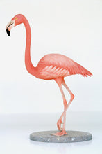 Load image into Gallery viewer, Flamingo (JR 2610)
