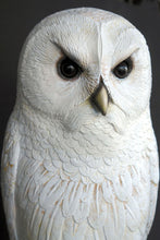 Load image into Gallery viewer, Owl on Tree Branch (JR 2689)
