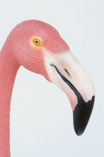 Load image into Gallery viewer, Flamingo (JR 2610)
