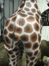 Load image into Gallery viewer, GIRAFFE 8FT JR 080131
