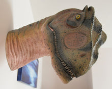 Load image into Gallery viewer, ALLOSAURUS HEAD LOOKING BACK - JR 100014
